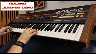 Roland Juno-60 Demo | No Talking |