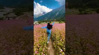 Sangla Valley, Himachal Pradesh