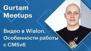 Митапы Gurtam. Видео в Wialon. Особенности работы с CMSv6