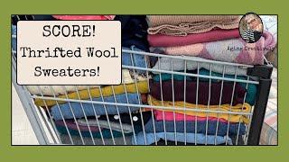 Thrifting for Wool Sweaters: Jeri and Brian Out & About