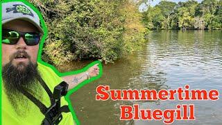 Bank fishing for summer panfish (how to find MORE panfish with WORMS)