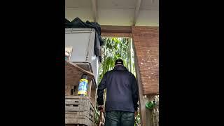 #machete #amazonrainforest #ai