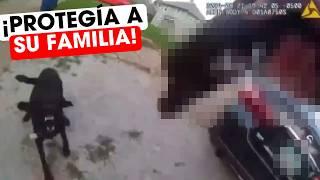 POLICÍA ACABA CON LA VIDA de un PERRO que PROTEGÍA su propia "CASA"  - ¿Qué pasó? 