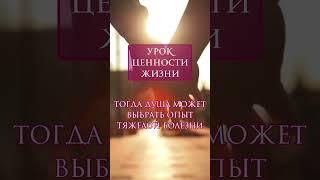 Какие уроки Души? #регрессия #регрессолог #психология #отношения #исцеление #духовныйпроводник