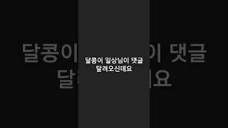 달콩이 일상님 음원
