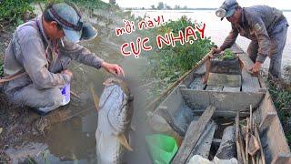 Cắm Câu Cá Lóc Mùa Nước Nổi - Mồi Này Cực Nhạy