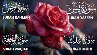 Surah Yaseen ️ Surah Rahman ️ Surah Mulk ️ Surah Waqiah Beautiful Voice ️ Heart Soothing