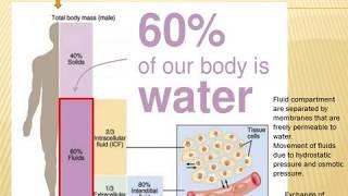 Body fluids with narration
