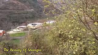 The Beauty of #Shangla | Yakhtangi Shangla | Green kpk pakistan