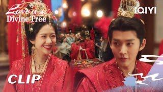 CLIP：Su Yishui & Ranran are married! ️| EP39-40 | Love of the Divine Tree | iQIYI Romance