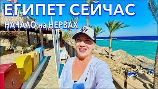 Египет 2024. Как ВАМ ТАКОЕ️ПЕРВАЯ линия. ПОГОДА МОРЕ ПЛЯЖ. Tamra Beach Resort 4*. Шарм Эль Шейх