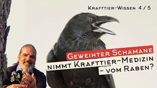 Warum KRAFTTIER-MEDIZIN ein Mental-Elixir ist || Schamane erhält live ein Angebot - KRAFTTIERE 4/5