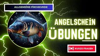 Angelschein Prüfungsfragen Allgemeine Fischkunde #angeln #angler #angelschein #anglerlife #fischen