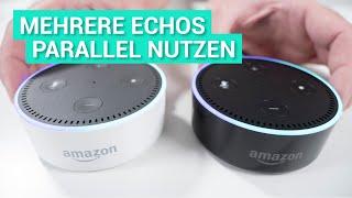 Zwei oder mehrere Amazon Echos (Alexa) im Parallelbetrieb - Demo & Infos