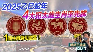 2025十二生肖犯太歲 附繁簡字幕｜率先睇乙巳蛇年4大生肖 全年不能做XX！1個生肖超伏！屬豬沖太歲 屬猴破太歲 屬虎害太歲 龍年預測 #生肖運勢2025 攝太歲 【囍趣睇相王EP105】風水佈局