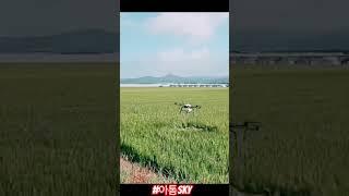 부여 아톰 sky ️