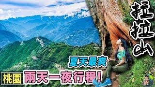 全台氧氣最多的地方！ 來去拉拉山吃世界第一水蜜桃 | 桃園景點