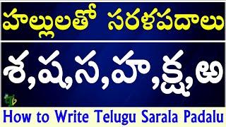 Hallulatho Sarala Padalu with Sa Sha Ha Ksha Rra padalu |Telugu varnamala #saralapadalu|Telugu words