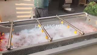 Automatic Tomatoes Washing Machine | Continuous Type Bubble Washer   For Fruits And Vegetables