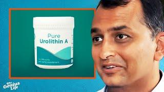 The INSANE Longevity Benefits of Urolithin A - Dr. Anurag Singh