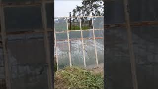FRUGAL BUILD PROJECT - TRANSFORMING A DERELICT DONKEY STABLE INTO SOMETHING AWESOME