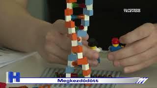 Megkezdődött – ZTV Híradó 2024-06-25