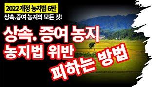 상속.증여농지의 농지법 위반 피하는 방법과 양도소득세 해설/ 상속농지와 증여농지의 차이점....?