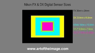 Nikon FX and DX DSLR Digital Camera Sensor Sizes Explained (Compact Digital Cameras Too)