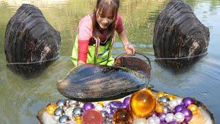  From Mud to Million-Dollar Find: Gem-Bursting Clam, Captivating Spectators by the River！