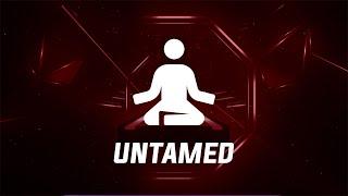 Beat Saber | Untamed - Lindsey Stirling | Zen Mode | OST 7