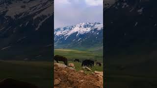 Beautiful scenic point #nature #gilgitbaltistan #discoverpakistan #pakistan #travel #baltistan