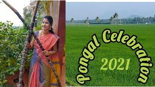 Pongal celebration 2021/happy times with saranya