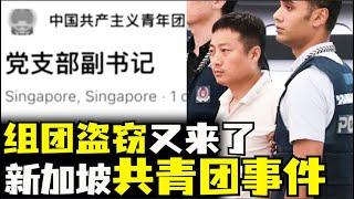 新加坡又又又被盯上，新加坡有共青团党支部？新加坡有多少中共党支部，中石油党支部秘密文件，新加坡新移民政策要探讨（小木谈天第515期20241226）