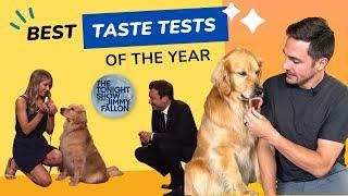 Best Dog Taste Tests of the Year