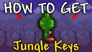 How to Get Jungle Keys in Terraria | Jungle Key Farm