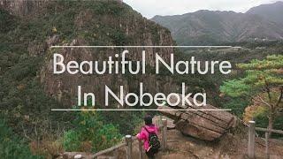 Enjoying the natural beauty of Nobeoka!