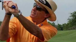 David Leadbetter SwingSetter