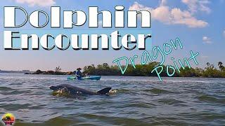 Dolphin Encounter at Dragon Point | Kayaking Florida's Banana River