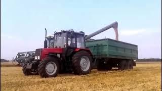 ACROS 560 - сбор урожая в Литве/ACROS 560 - harvesting in Lithuania