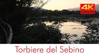 Torbiere del Sebino (Iseo)