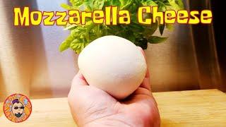 Quick Homemade Mozzarella Cheese