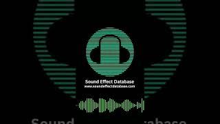 Male group bravo | Sound Effect #soundeffect #sound