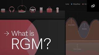 What is Revenue Growth Management? (RGM)