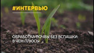 О плюсах технологии no till  в сельском хозяйстве | Интервью