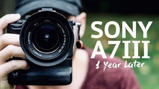 Sony A7III - 1 Year Later