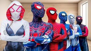 What If 6 Spider-Man Bros In 1 House...?? || SPIDER-MAN's Story New Season 7 ( All Action, Funny...)