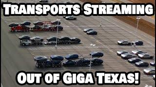 AUTO TRANSPORTS STREAMING OUT OF GIGA TEXAS! - Tesla Gigafactory Austin 4K  Day 1546 -10/16/24-Tesla