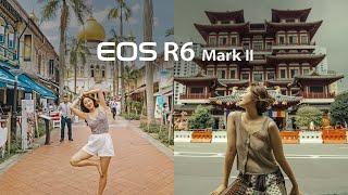 프로와 아마추어의 사이 밸런스가 최적인 카메라 캐논 EOS R6 Mark2