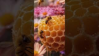 The Prophet Muhammad (ﷺ) Forbade the Killing of These 4 Creatures – Do You Know Why?! #islamicvideo