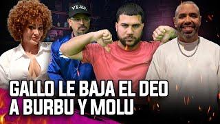 GALLO LE MANDA FUEGO A BURBU & MOLU